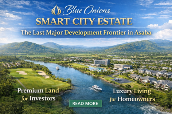 Blue Onions Ugbolu Smart City I: The Last Major Development Frontier in Asaba