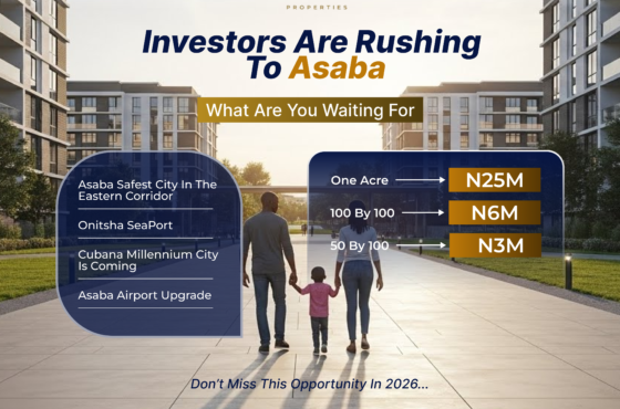 Why Investors Are Rushing to Asaba — And Where Smart Money Is Going