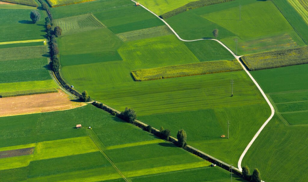 high angle photography of green plant