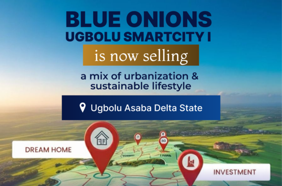 Why Blue Onions Ugbolu Smart City I is the Perfect Investment and Lifestyle Choice in Asaba